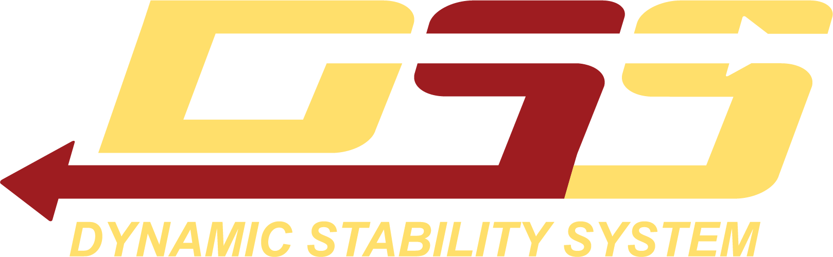 DSS logo